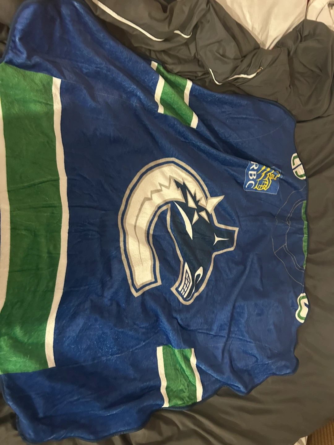 Vancouver Canucks home opener - photo 2