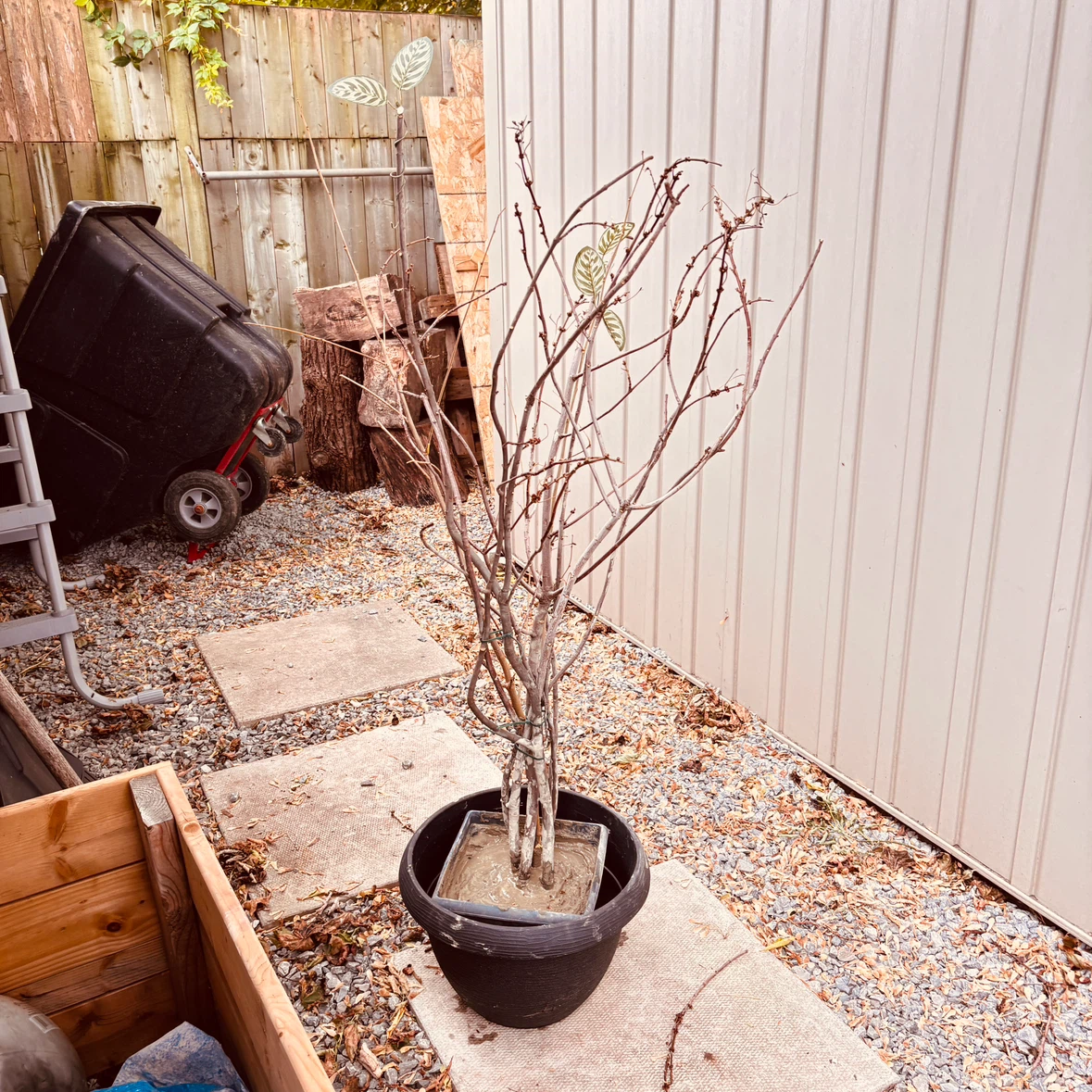 Made to order, artificial trees and plants
