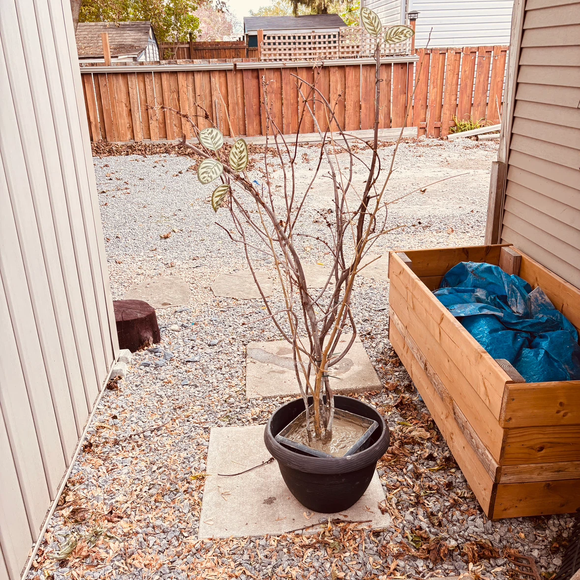Made to order, artificial trees and plants - photo 2