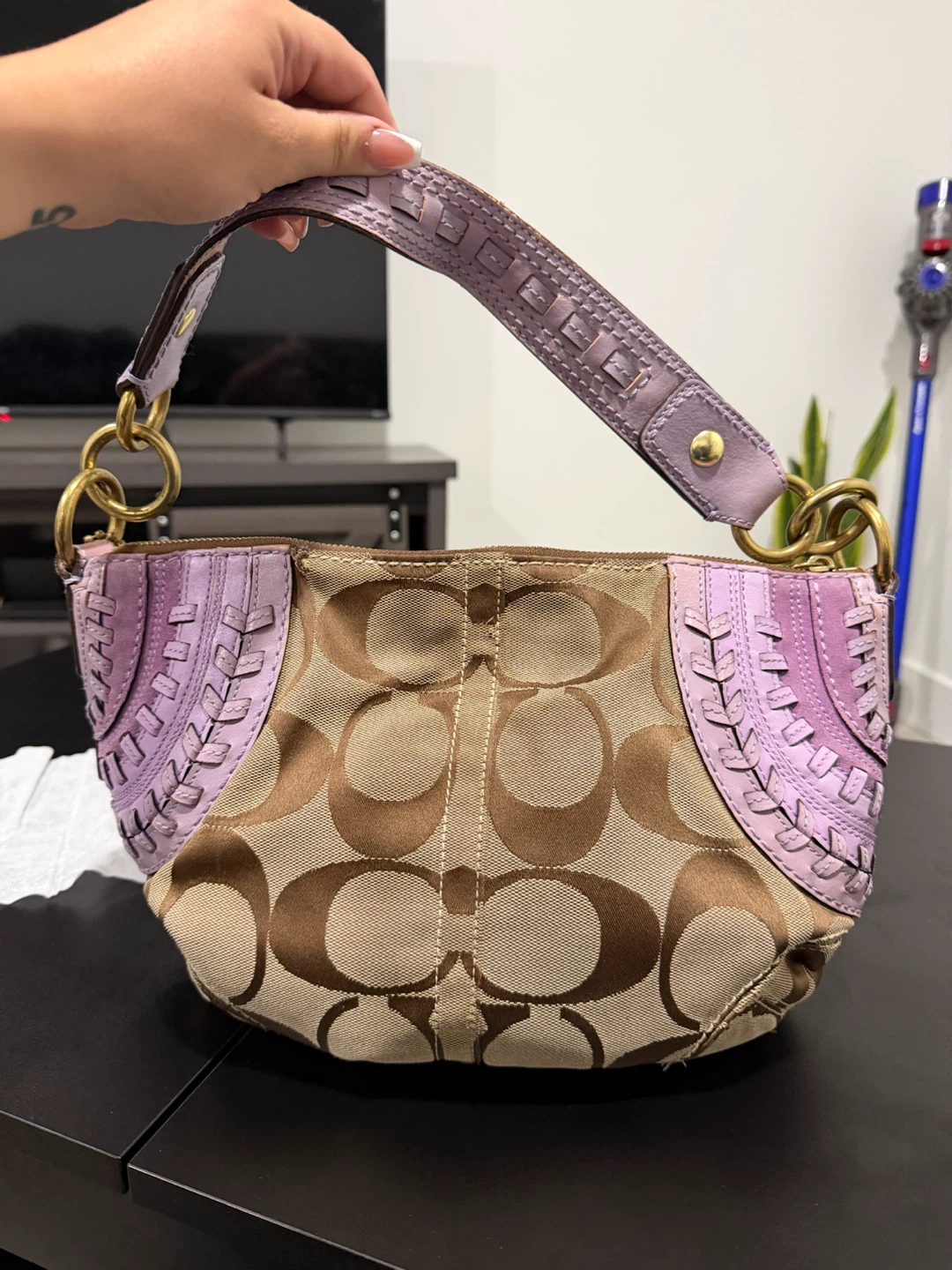 Coach Signature Hobo Bag Lavender and Beige