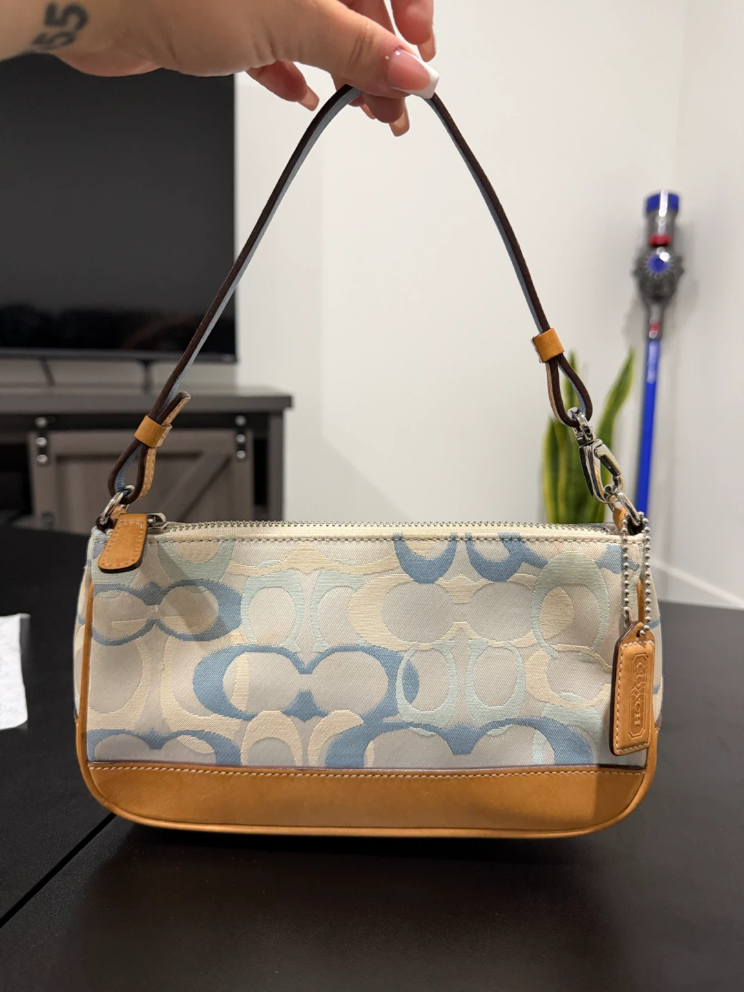 Coach Signature Canvas Mini Bag