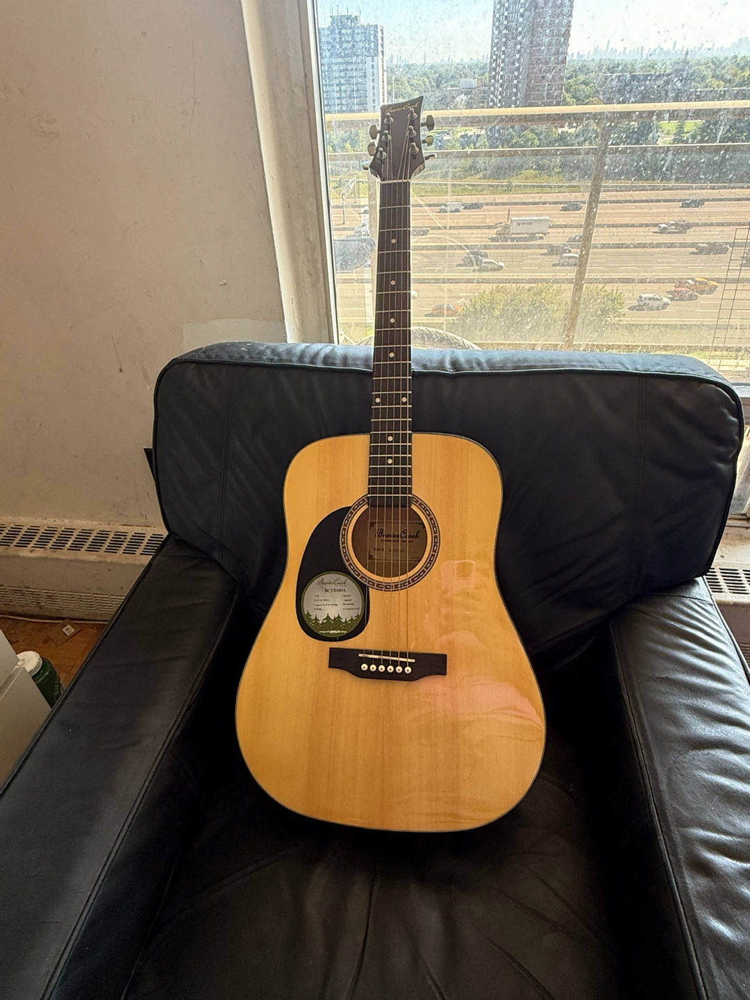 Beaver Creek BCTD101L Acoustic Guitar