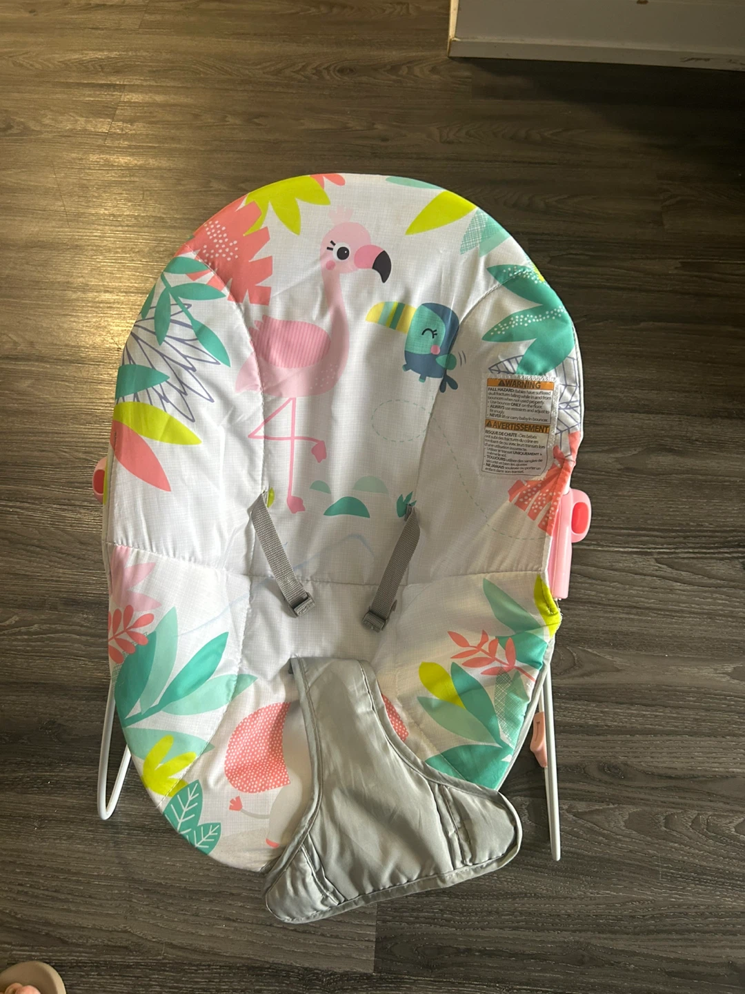 Bright Starts Flamingo Bouncer