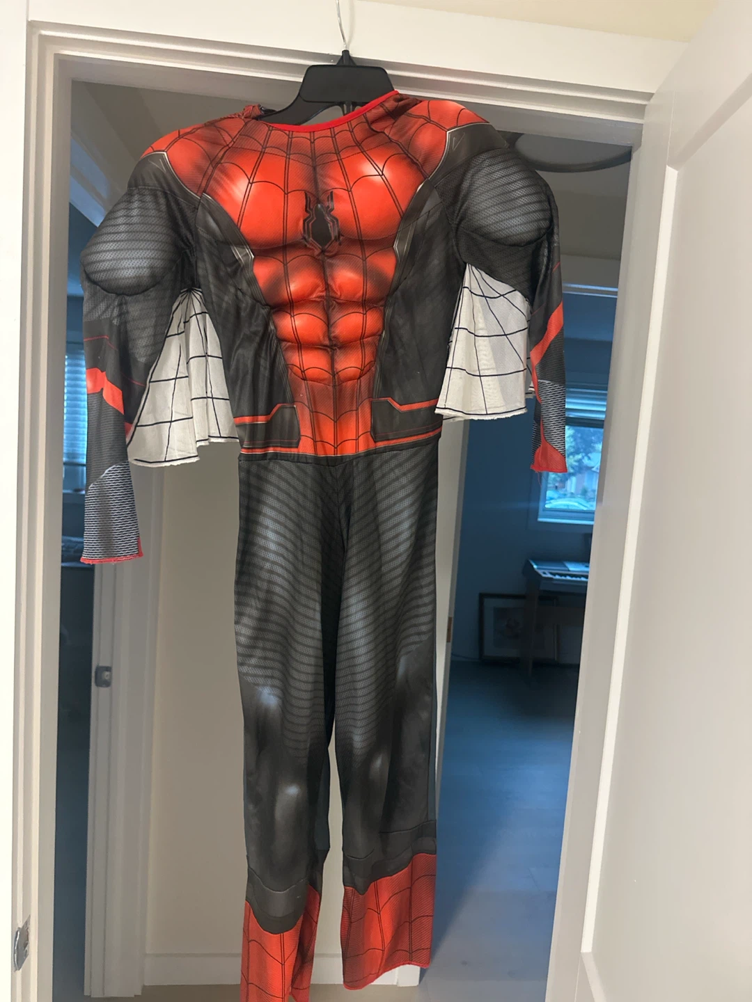 Spider-Man Muscle Costume with Web Wings