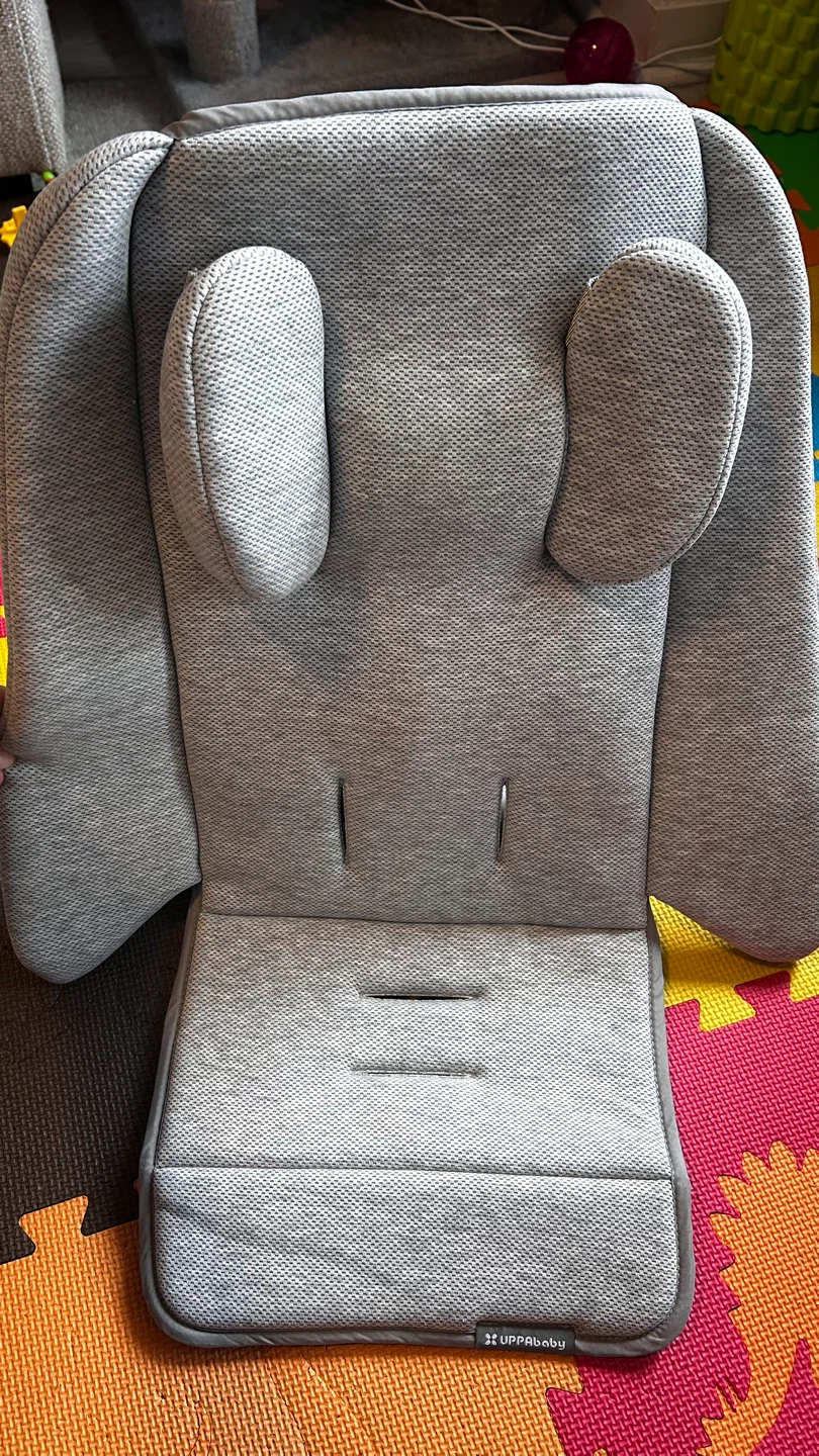 UPPAbaby Infant SnugSeat