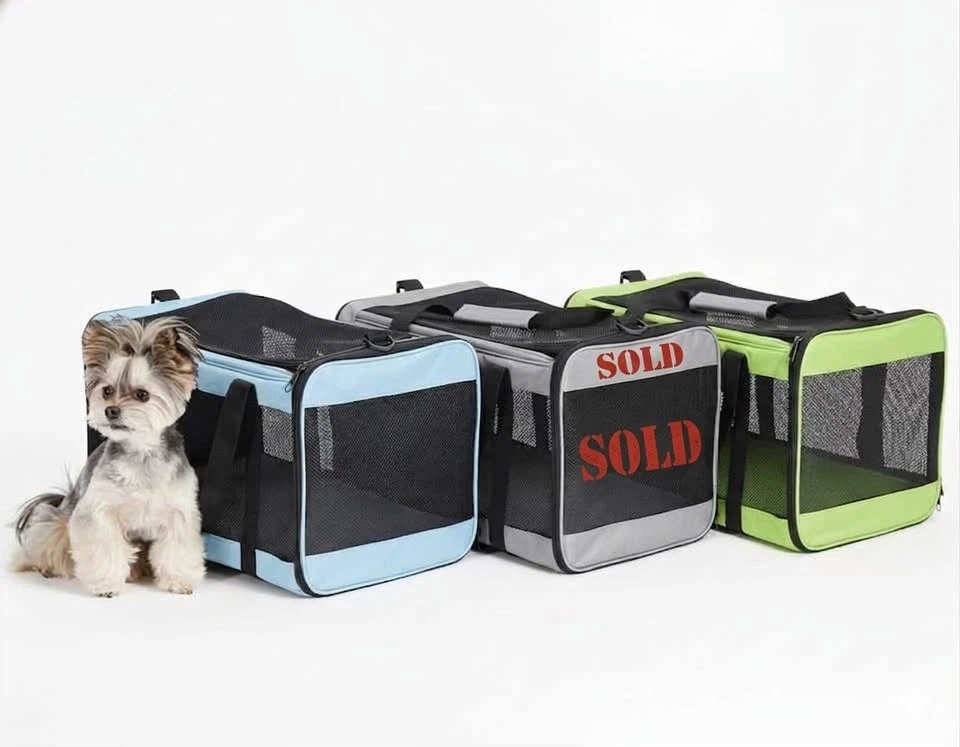Green Pet Carrier