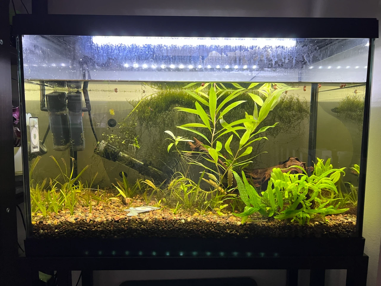 Marina 20 Gallon LED Aquarium Kit with stand