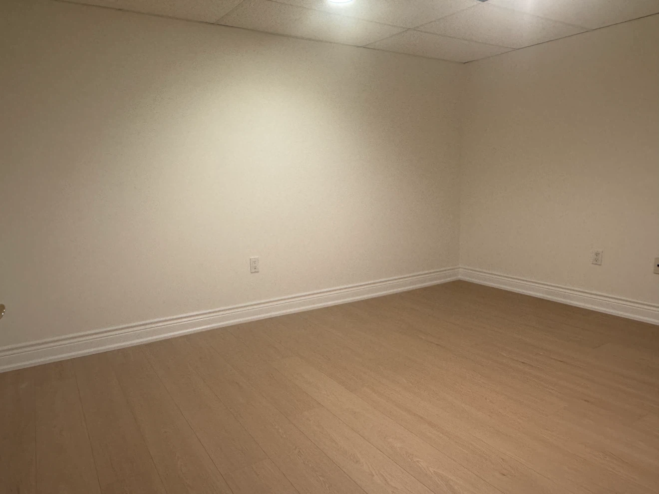 Rental basement - photo 4