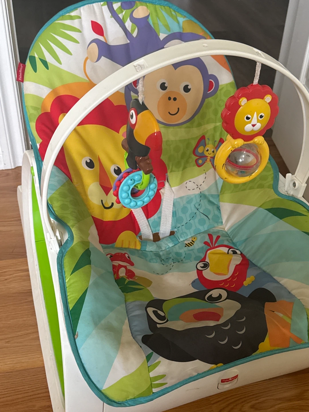 Fisher-Price Infant-to-Toddler Rocker