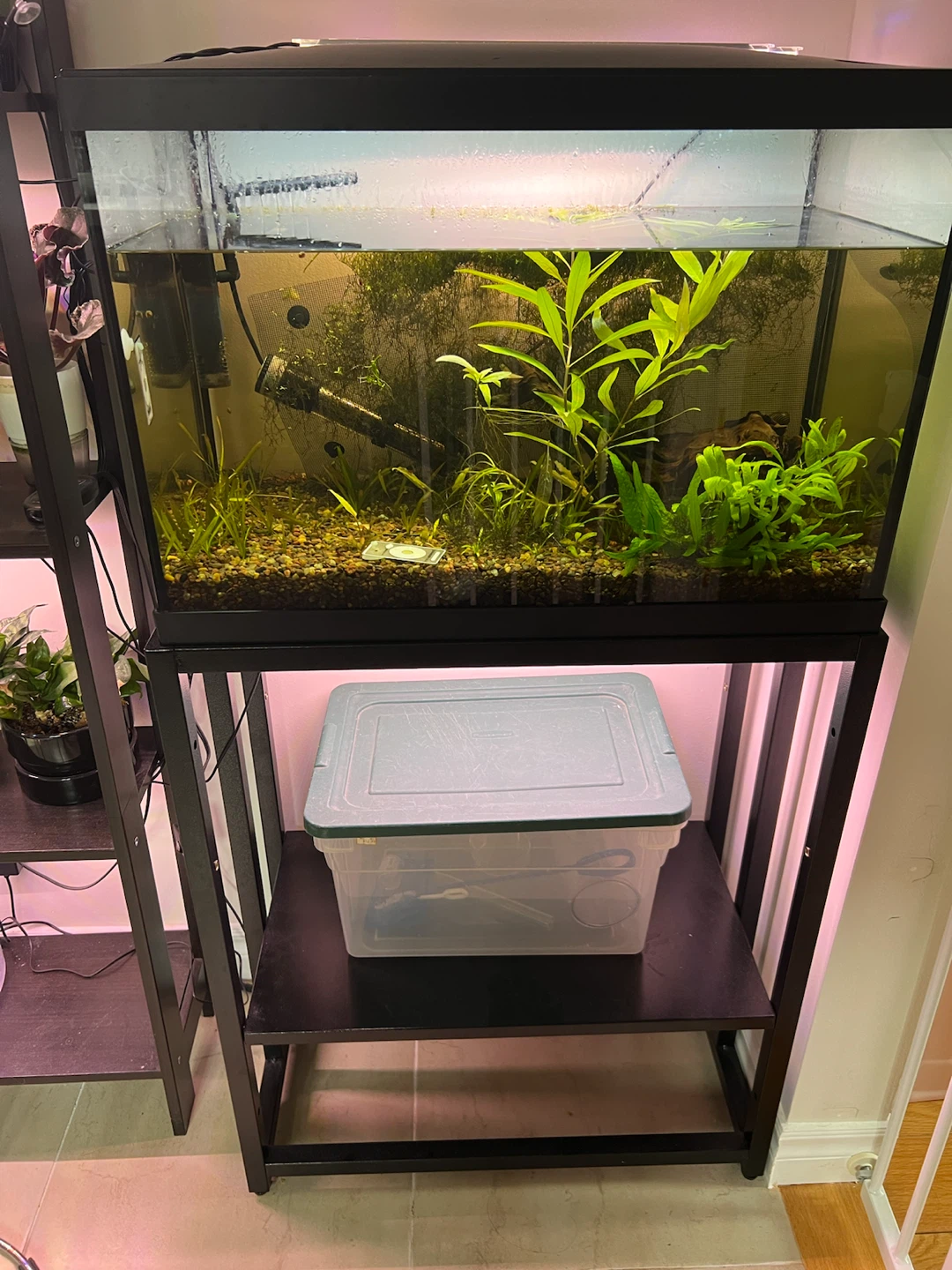 Marina 20 Gallon LED Aquarium Kit with stand - photo 3