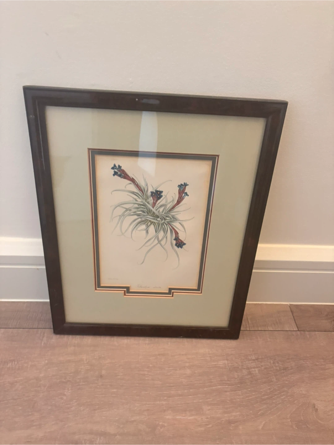 Botanical Framed Wall Art Print