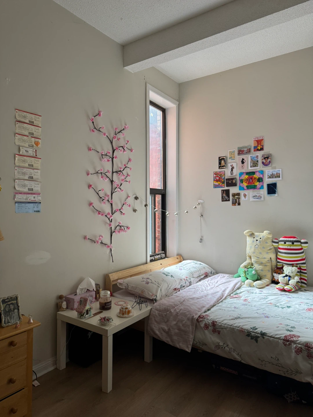 1 Bedroom in 3 bedroom apartment