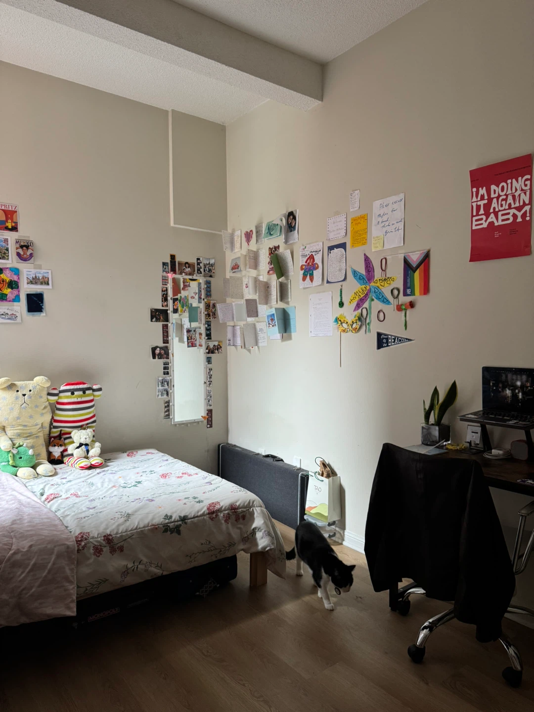 1 Bedroom in 3 bedroom apartment - photo 2