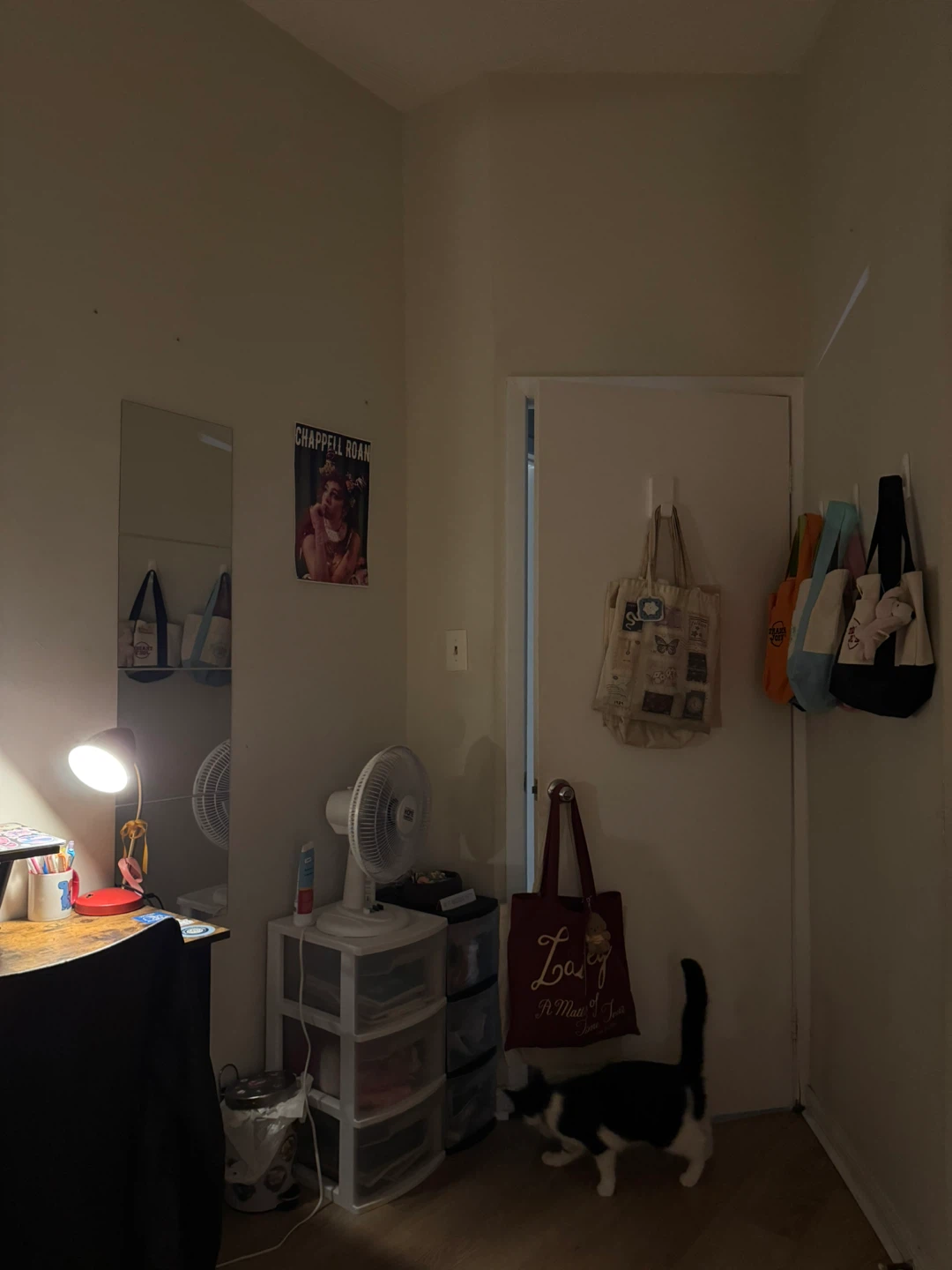 1 Bedroom in 3 bedroom apartment - photo 3