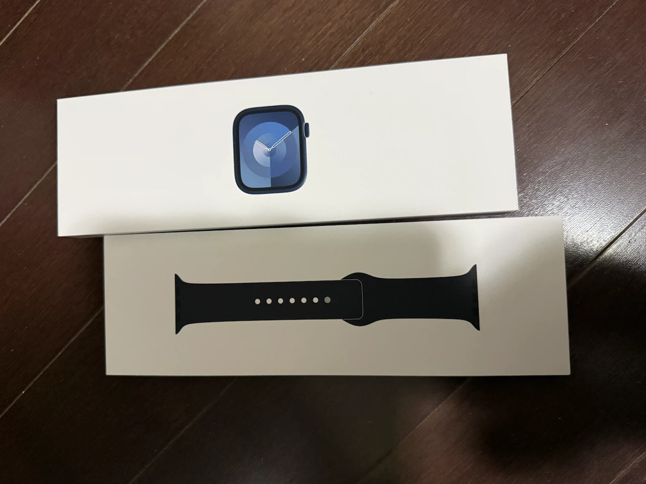 Apple Watch 9th generation