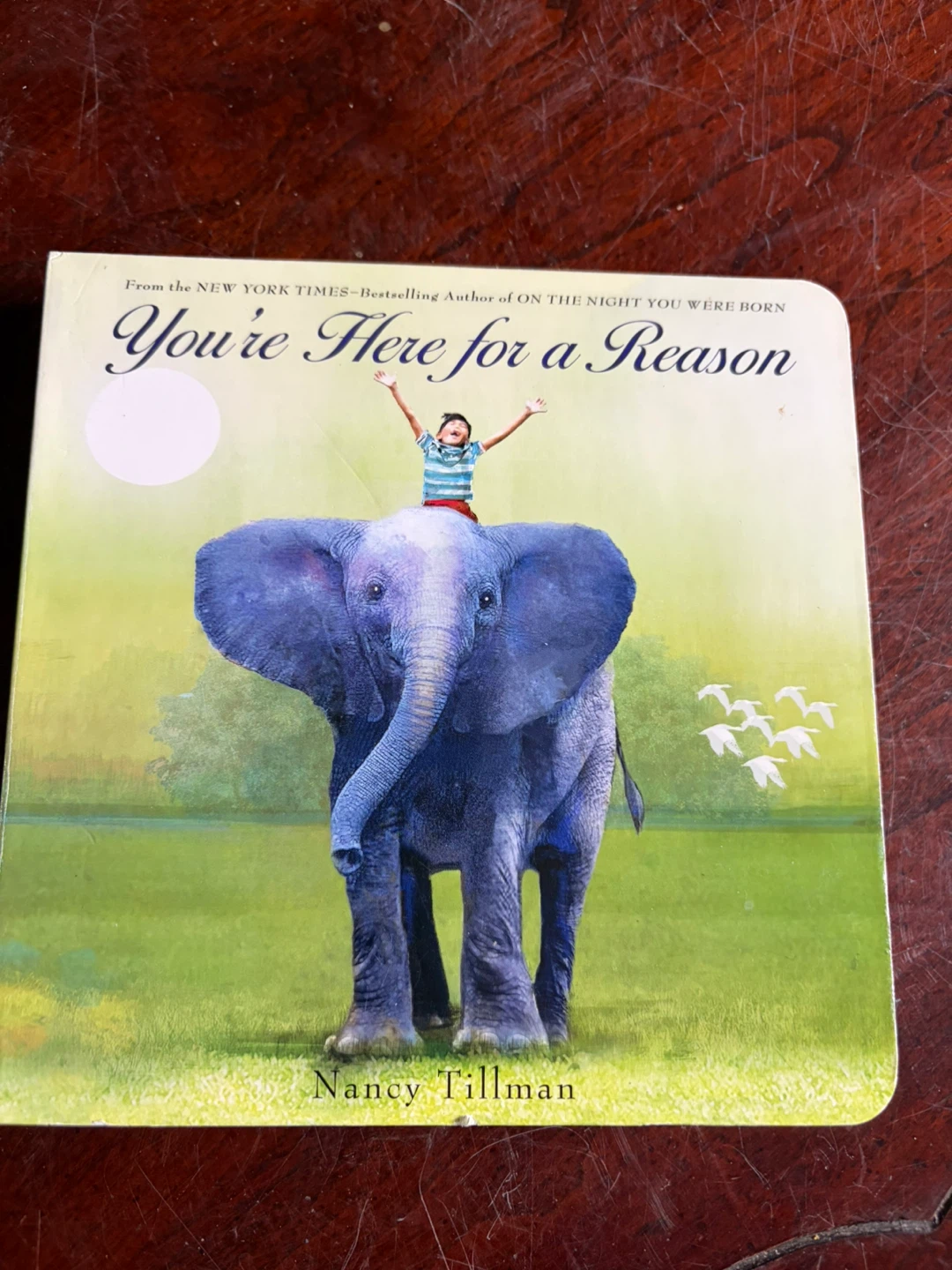 You're Here for a Reason board book by Nancy Tillman