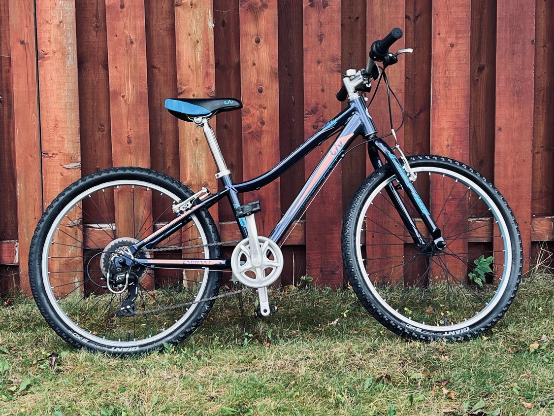 Giant Liv Enchant 24” Girls’ Mountain Bike – Excellent Condition