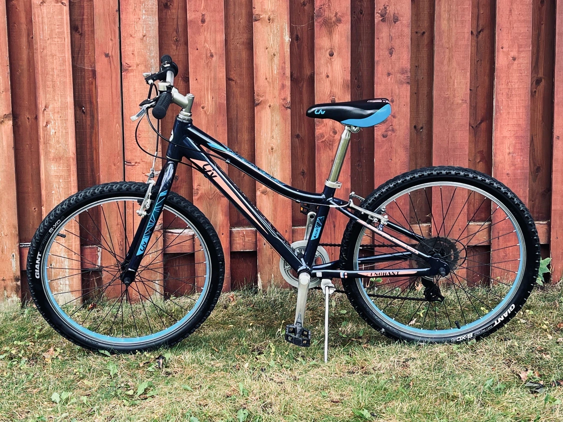 Giant Liv Enchant 24” Girls’ Mountain Bike – Excellent Condition - photo 2