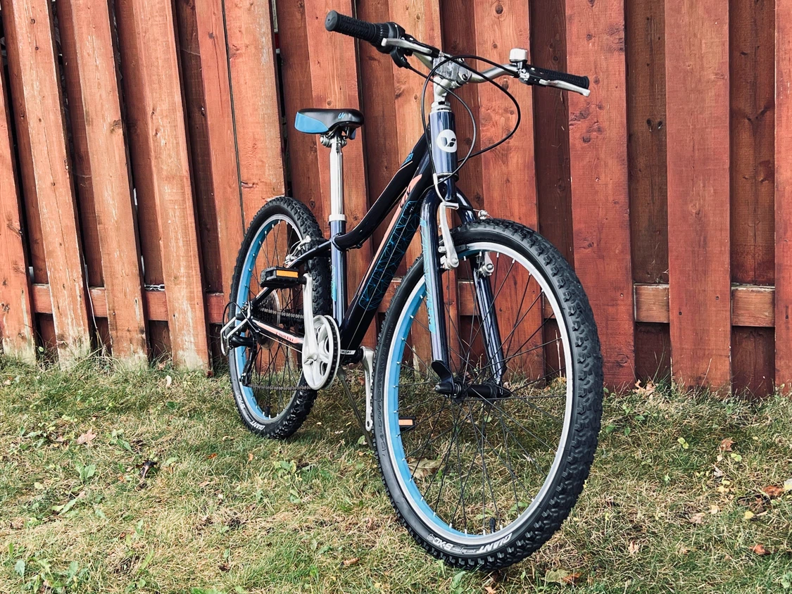 Giant Liv Enchant 24” Girls’ Mountain Bike – Excellent Condition - photo 3