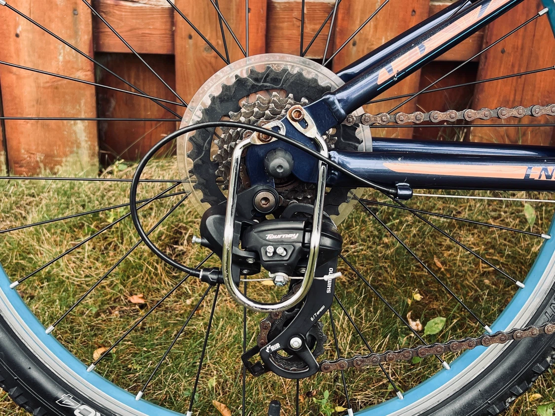 Giant Liv Enchant 24” Girls’ Mountain Bike – Excellent Condition - photo 4