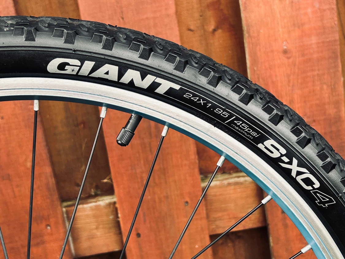 Giant Liv Enchant 24” Girls’ Mountain Bike – Excellent Condition - photo 5