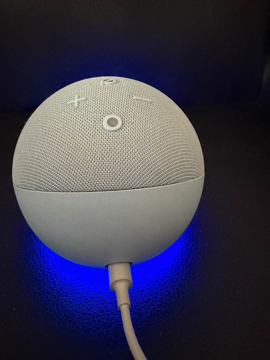 Amazon Echo Dot 4th Gen Smart Speaker