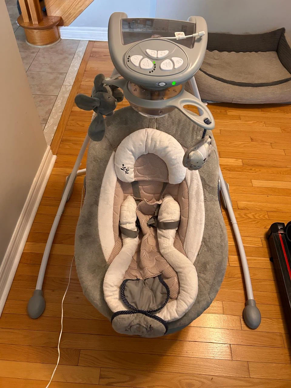 Ingenuity infant swing
