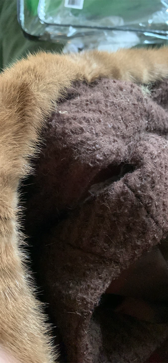 Vintage wool coat - photo 3