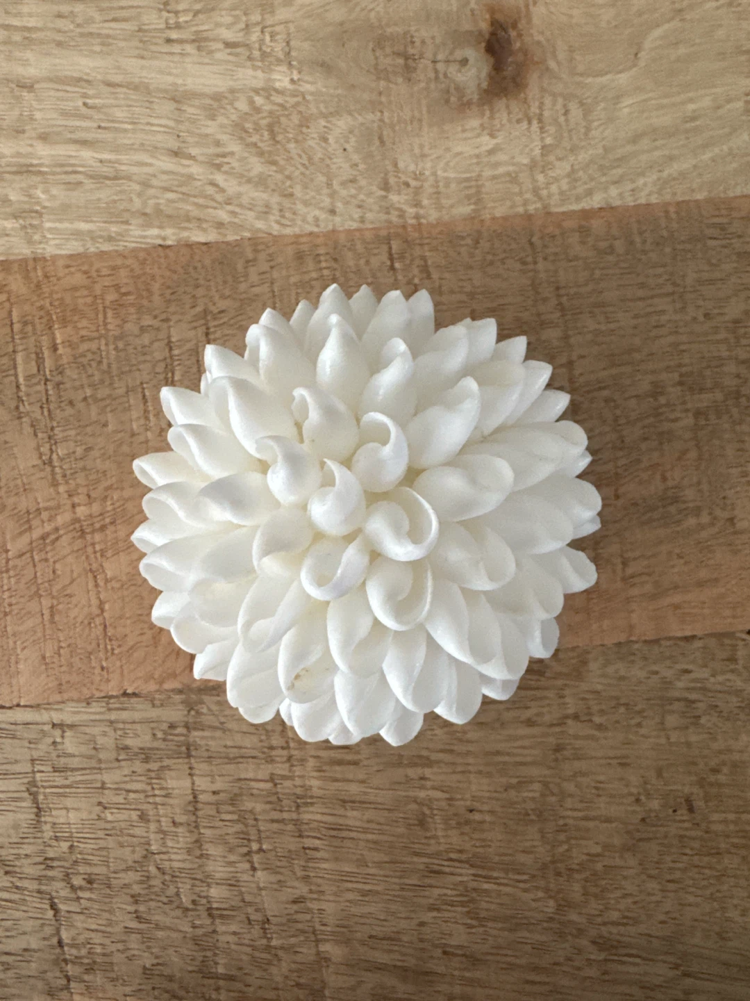 Decorative white shell ball ornament - photo 2