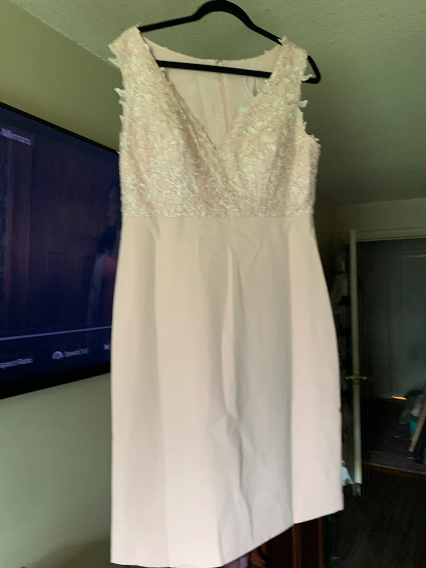 Fehaute Blush Pink Lace Dress