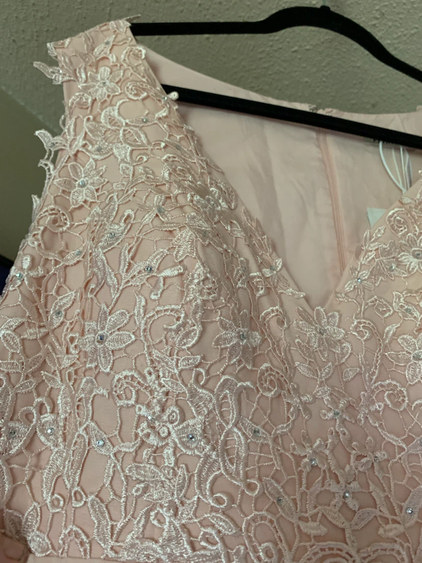 Fehaute Blush Pink Lace Dress - photo 2