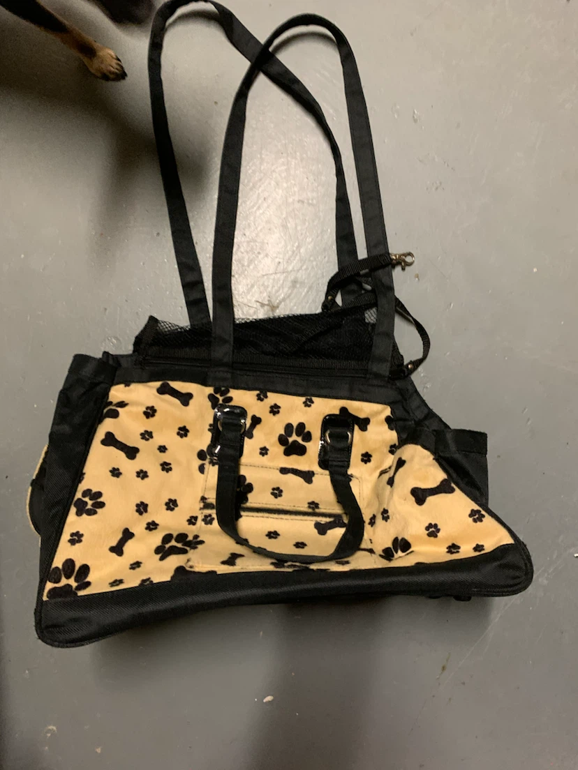 Paw print patterned small pet carrier