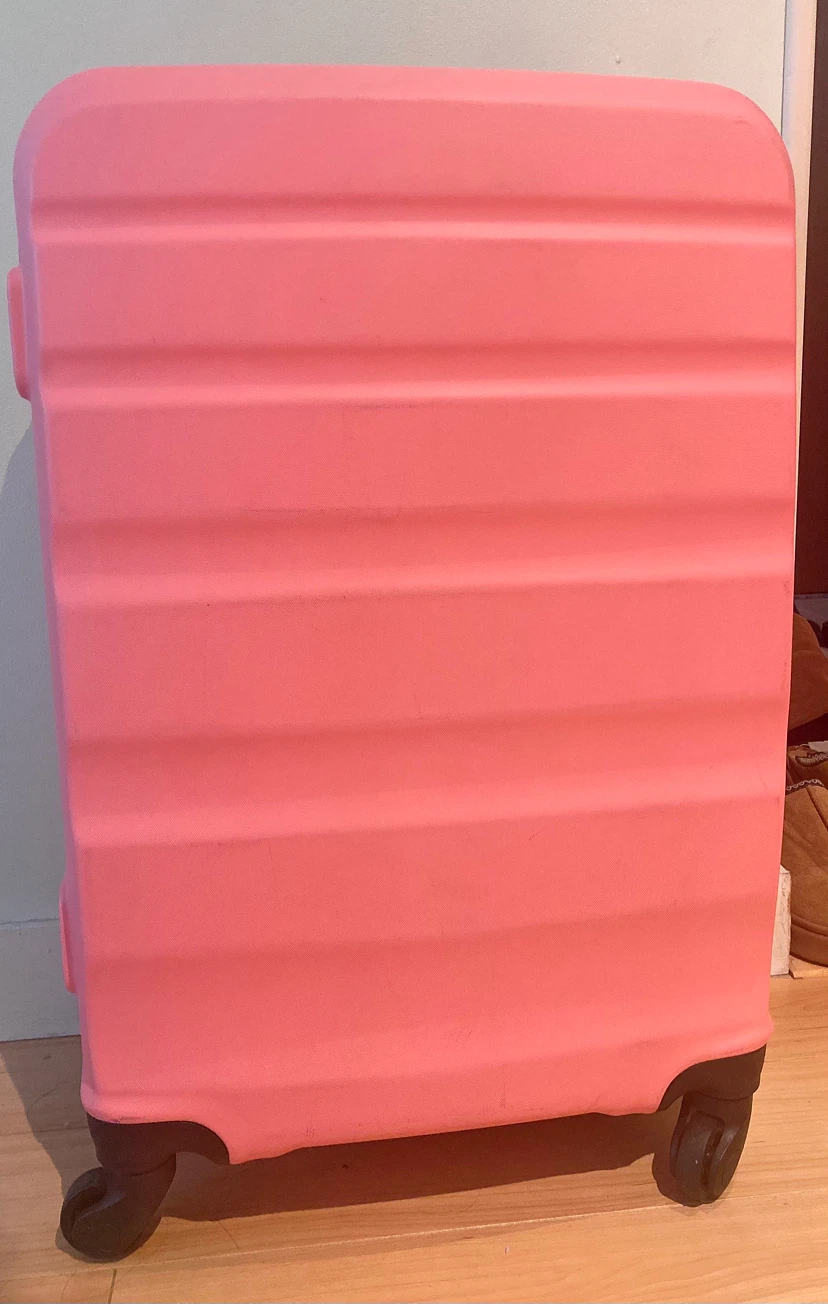 Pink Hardshell Spinner Luggage