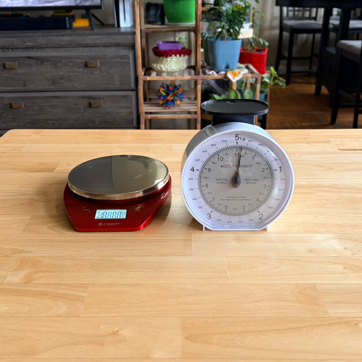 Mini Digital and Analog Scale