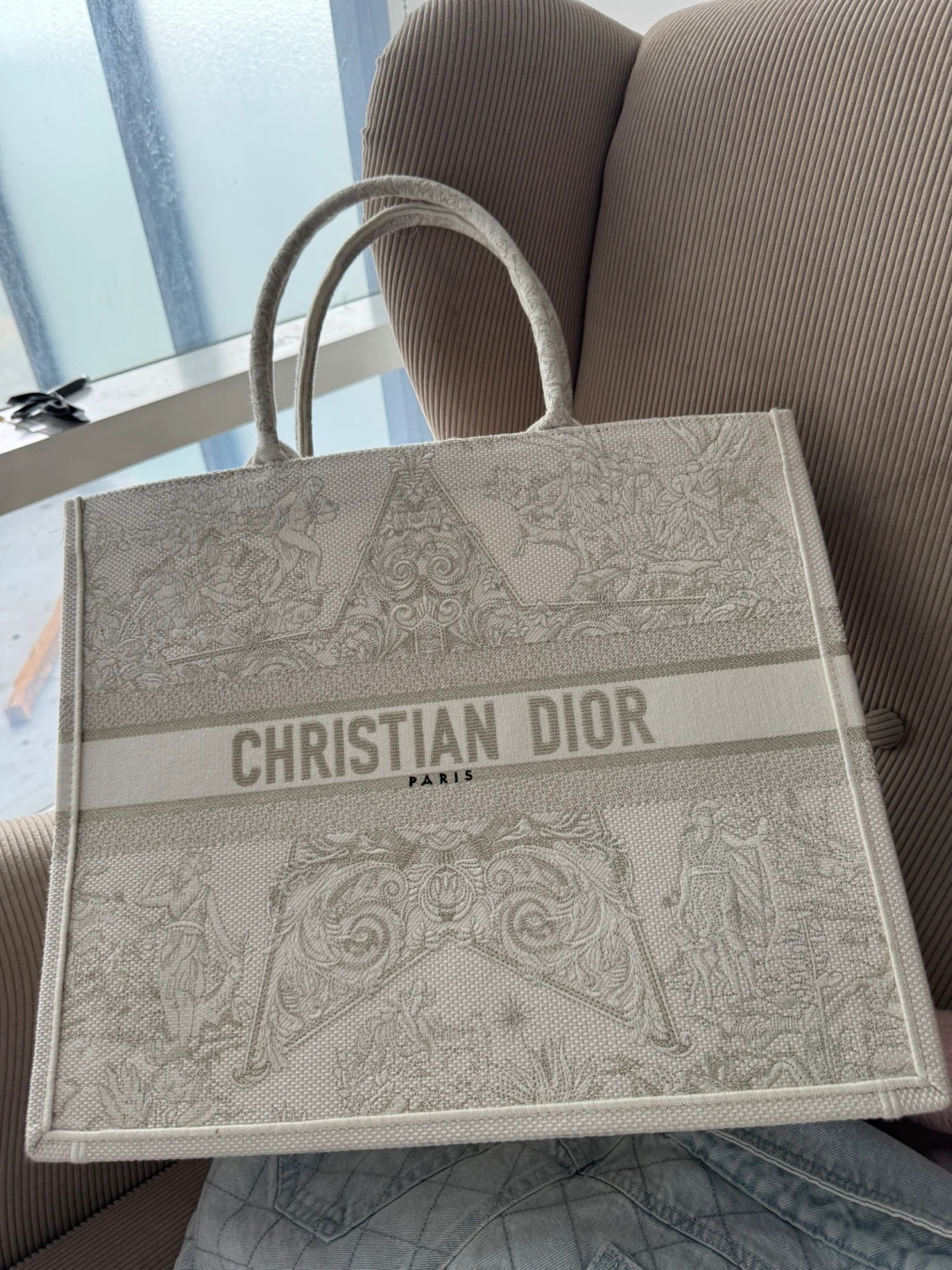 Christian Dior Book Tote