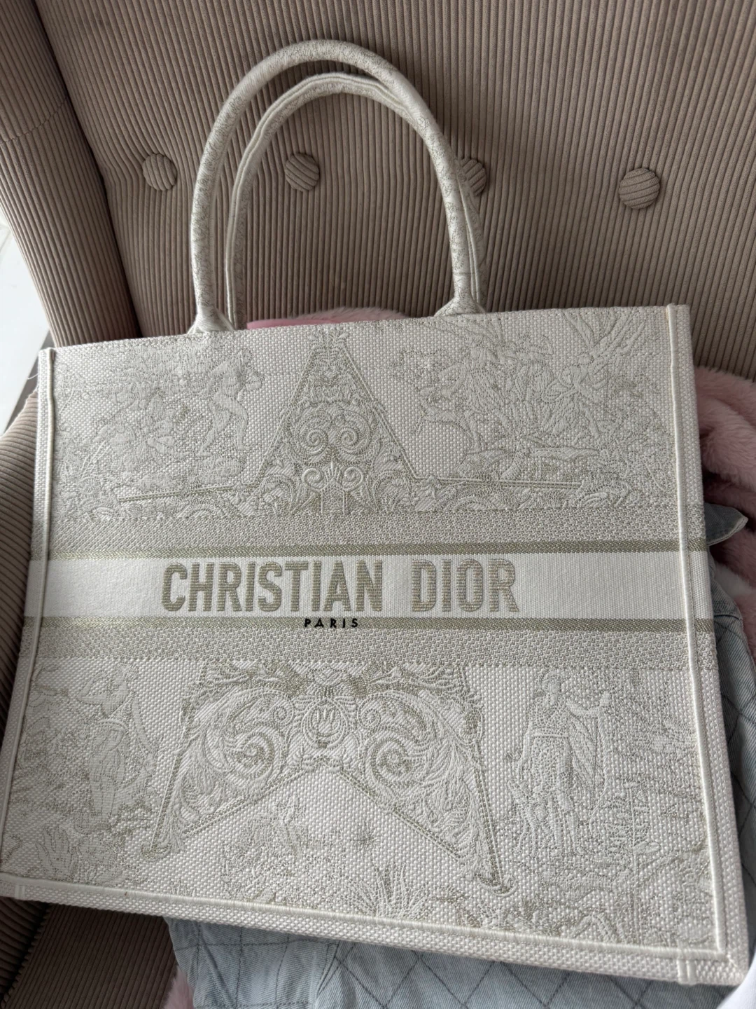Christian Dior Book Tote - photo 2