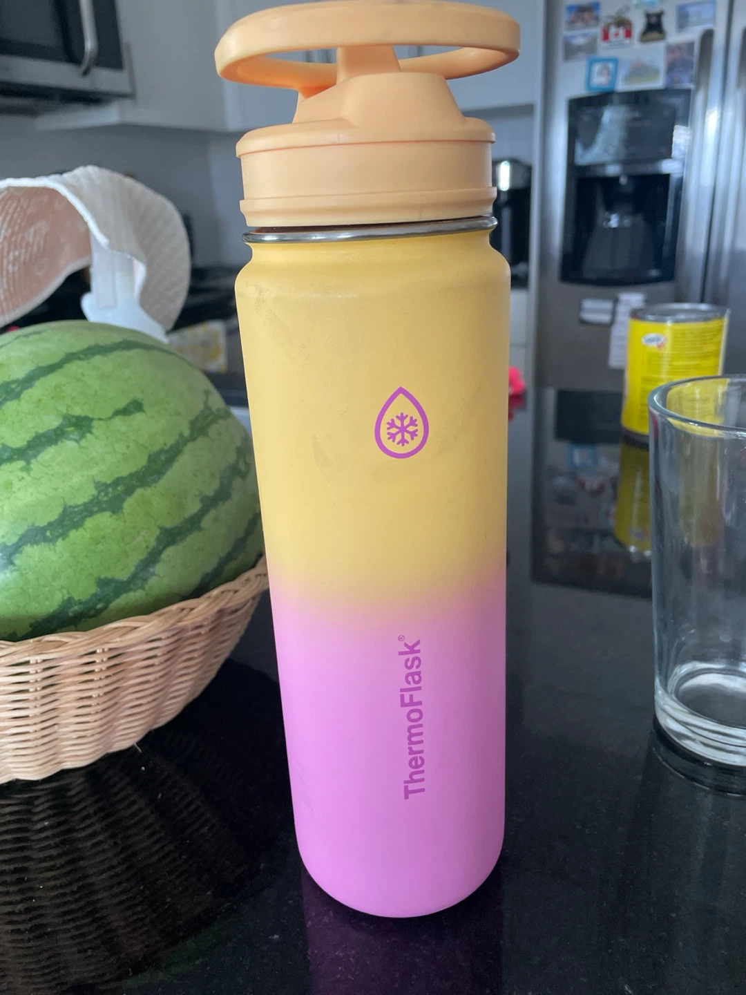 ThermoFlask Ombre Stainless Steel Water Bottle
