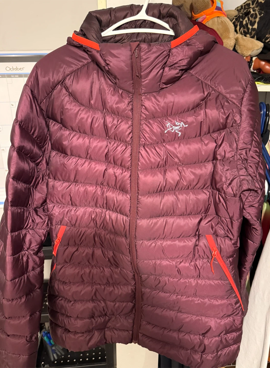 Arc'teryx Women's Cerium LT Hoody
