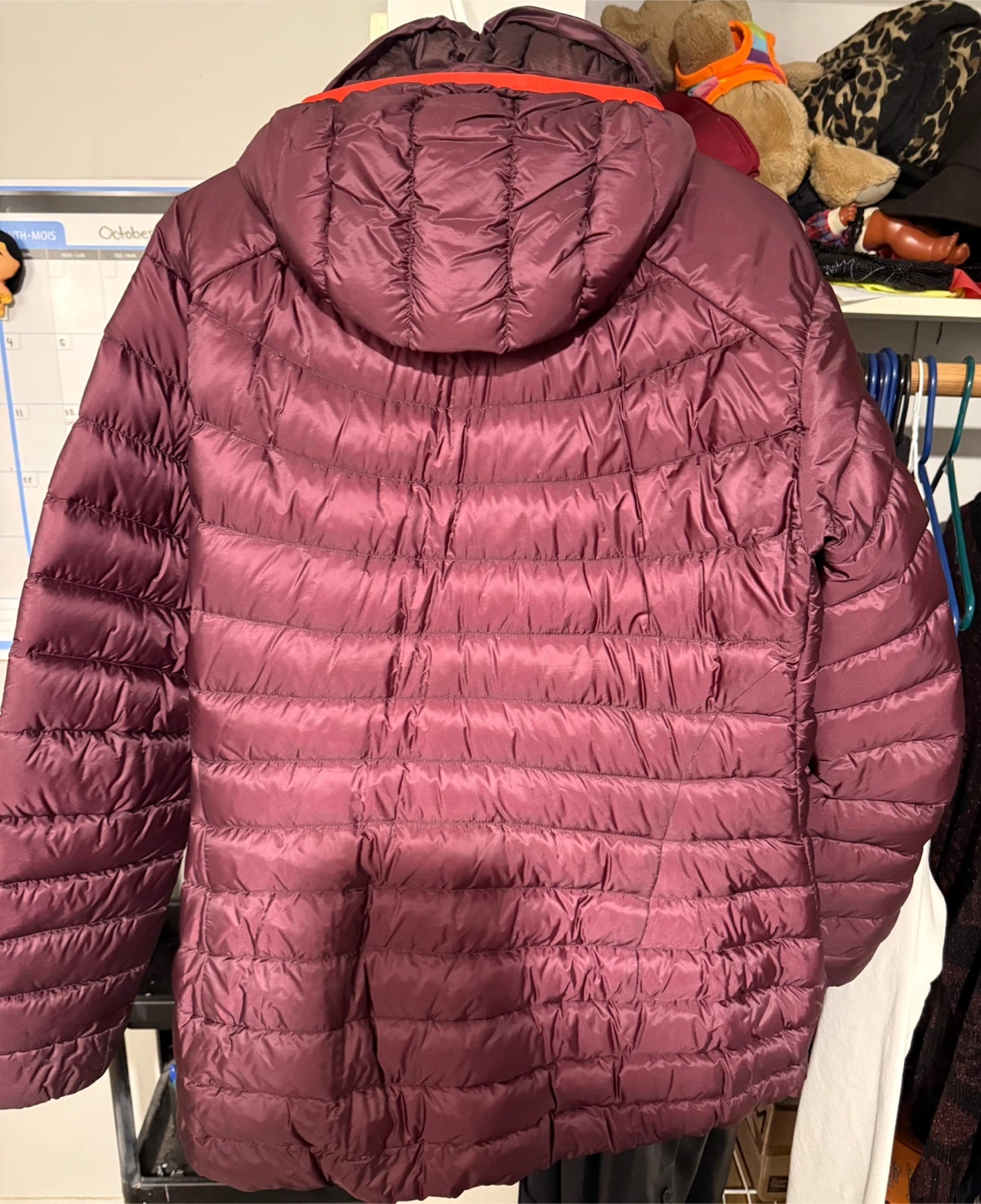 Arc'teryx Women's Cerium LT Hoody - photo 2