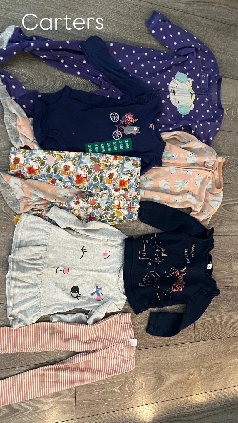 Assorted Baby Girls Clothing Bundle 18M