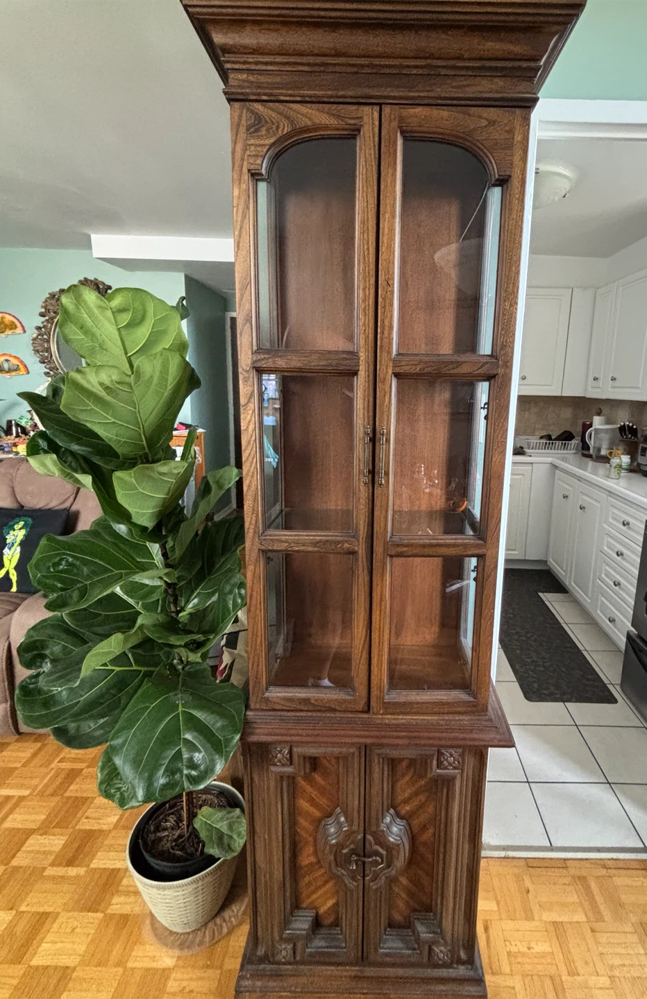 Traditional Wood Display Cabinet with Lighting
