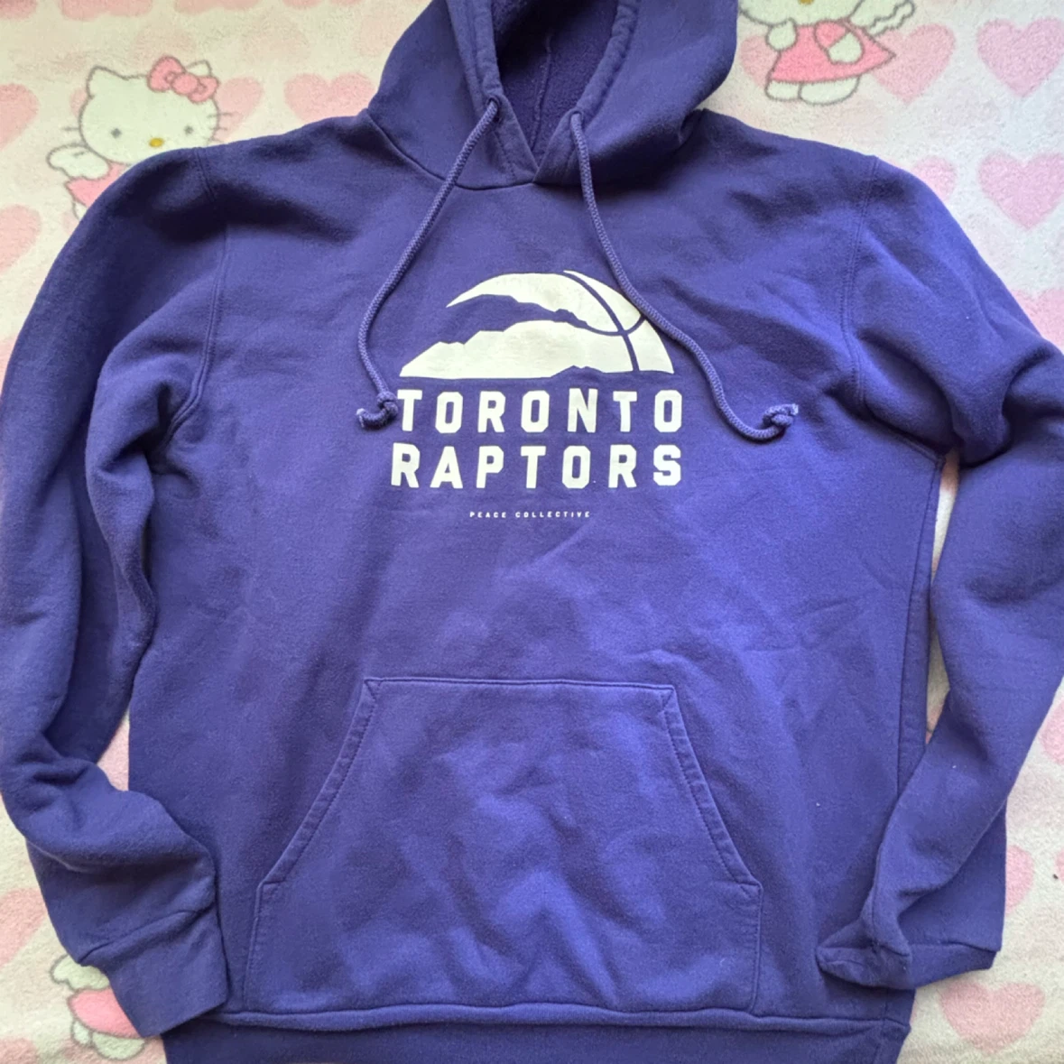 Peace Collective - Toronto Raptors Hoodie - *Size Men Medium* - photo 2