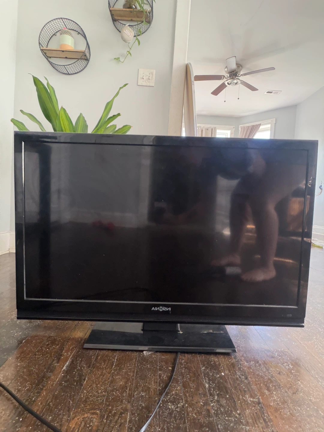 Insignia Flat Screen TV