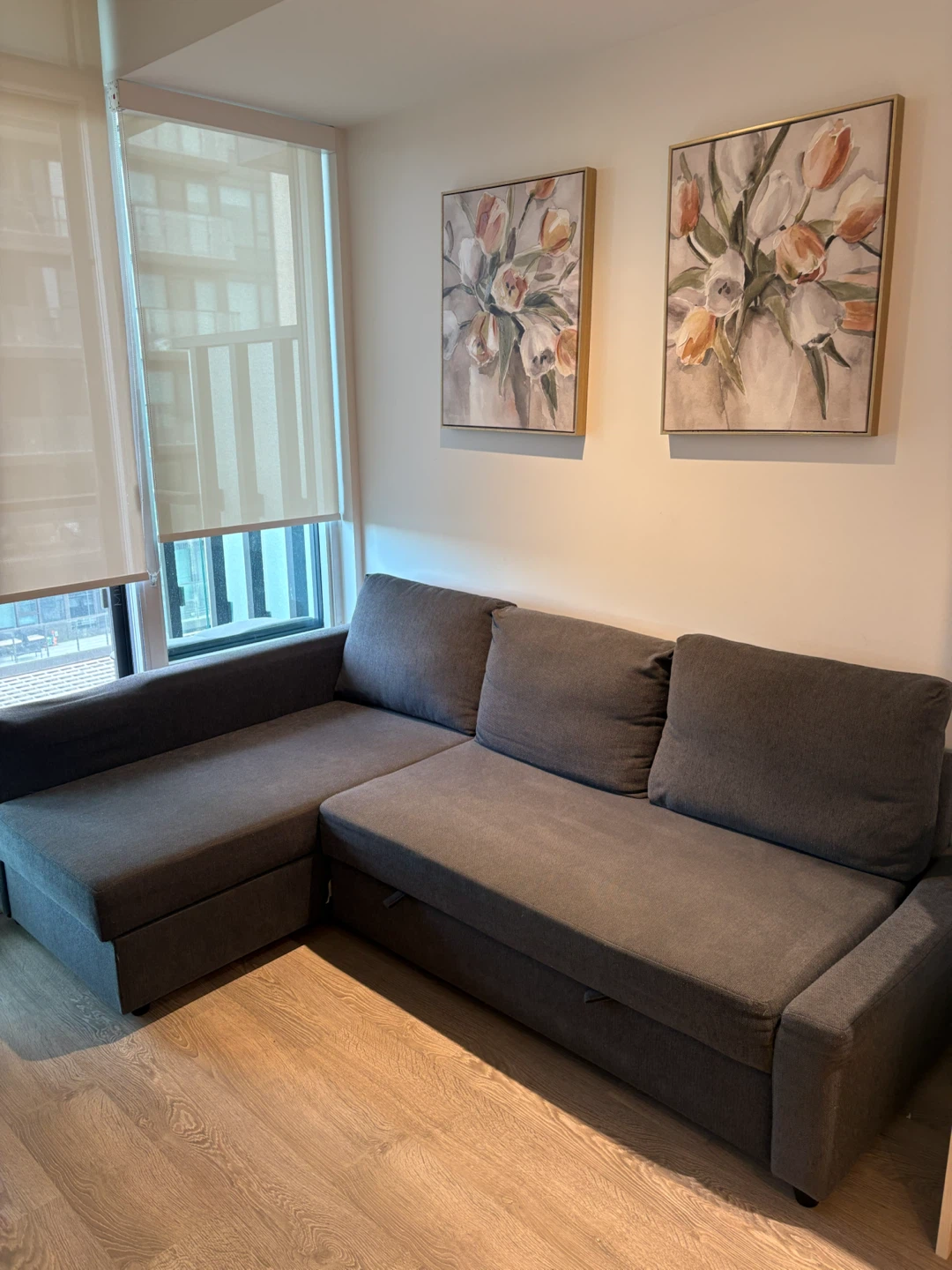 IKEA FRIHETEN Sleeper Sectional Sofa with Storage