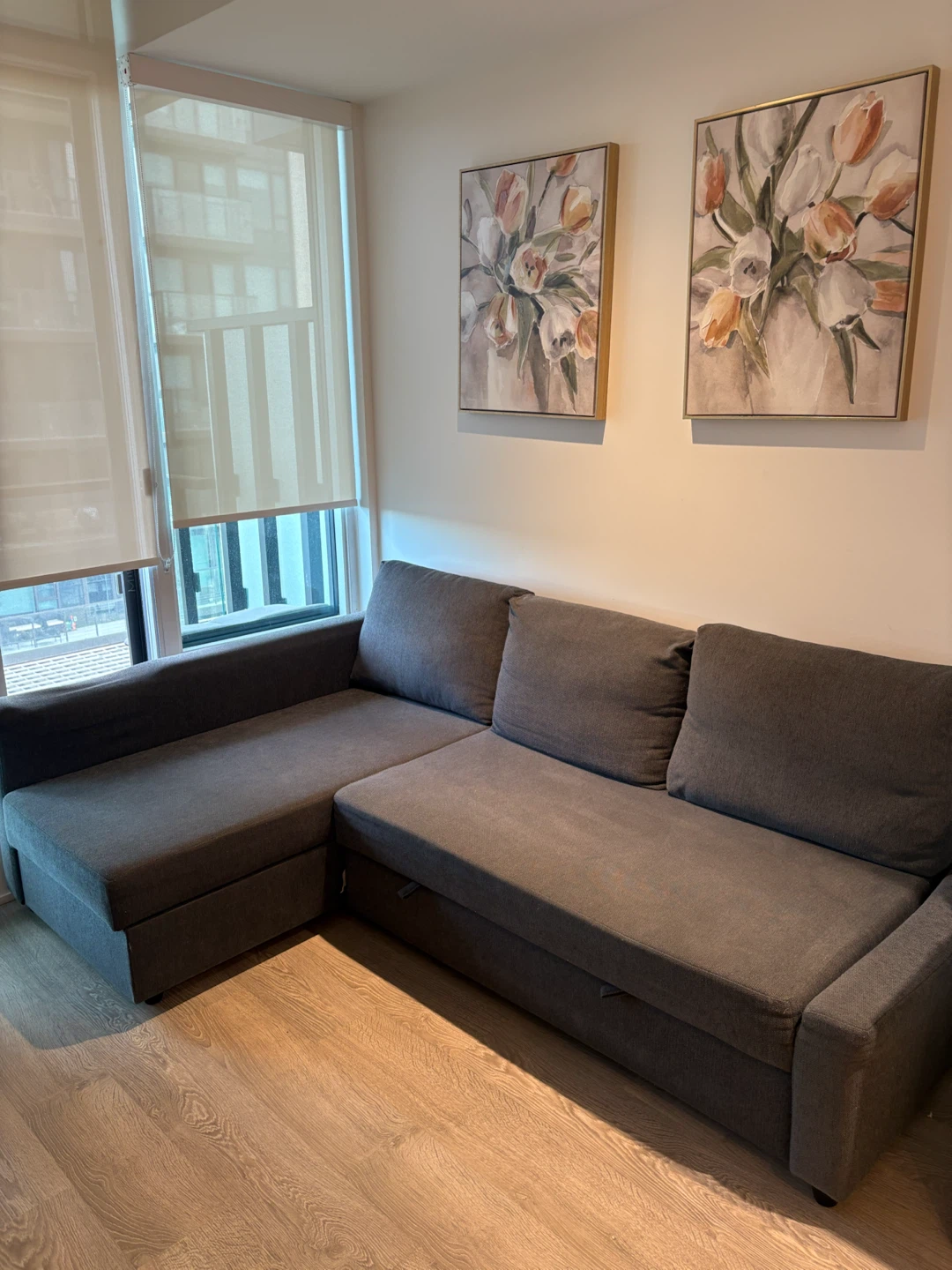 IKEA FRIHETEN Sleeper Sectional Sofa with Storage - photo 2