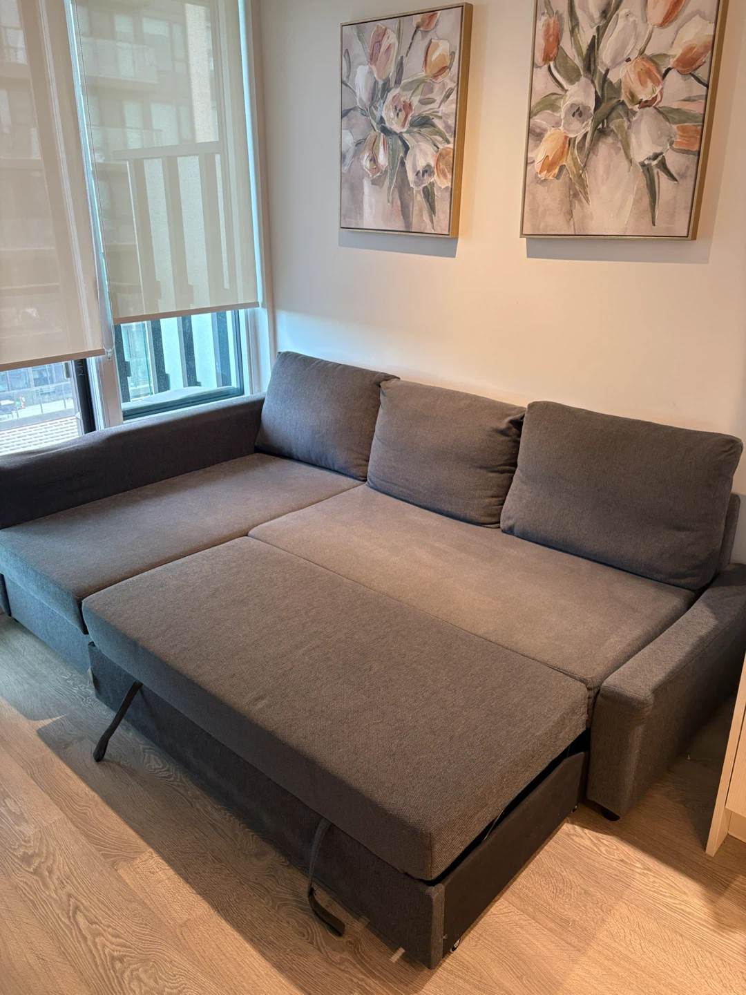 IKEA FRIHETEN Sleeper Sectional Sofa with Storage - photo 3