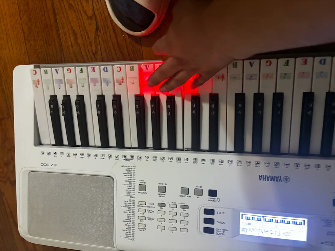 Yamaha EZ-300 Lighted Keyboard - photo 3