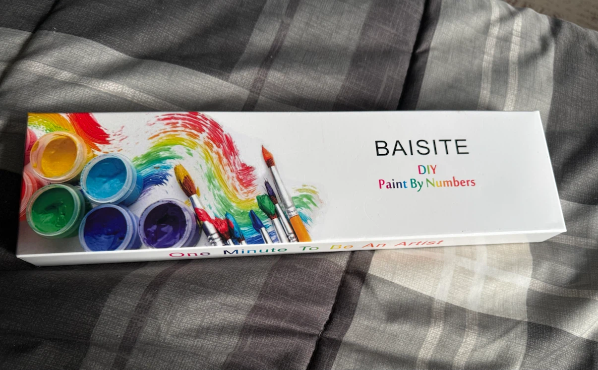 BAISITE DIY Paint By Numbers Kit