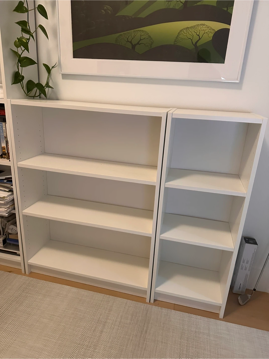 IKEA Billy Bookcase Set