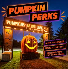 After dark tickets